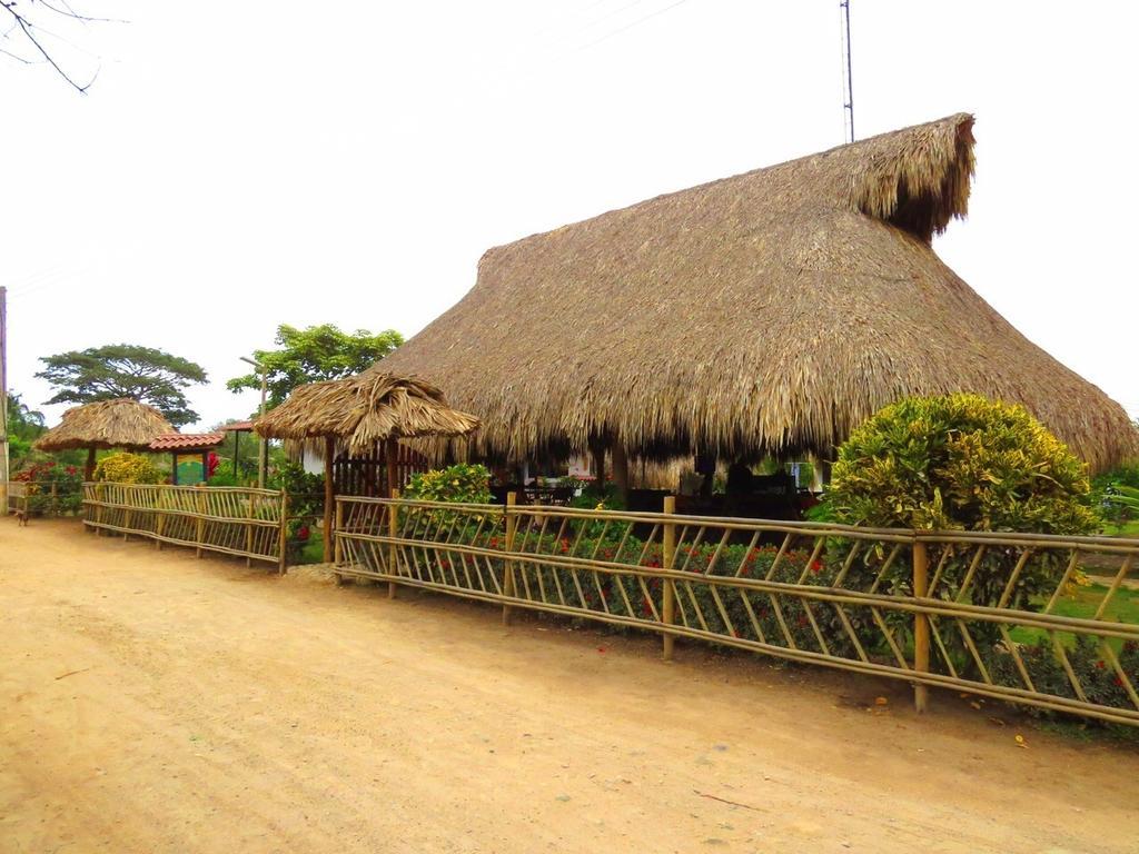 Palomino Breeze Hostal Room photo