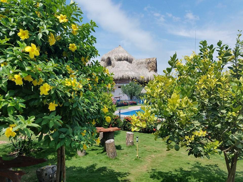 Palomino Breeze Hostal Exterior photo