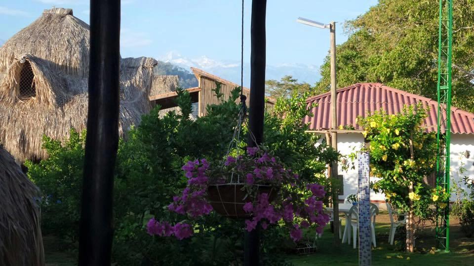 Palomino Breeze Hostal Exterior photo